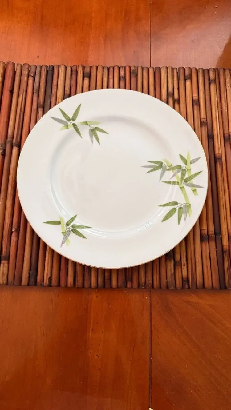 Narumi Japan Bamboo Fine China Dinner Plates 10.5 